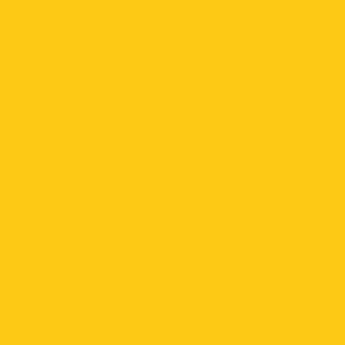 Disc Kohinoor Mondeluz Watercolor Pencil Dark Yellow