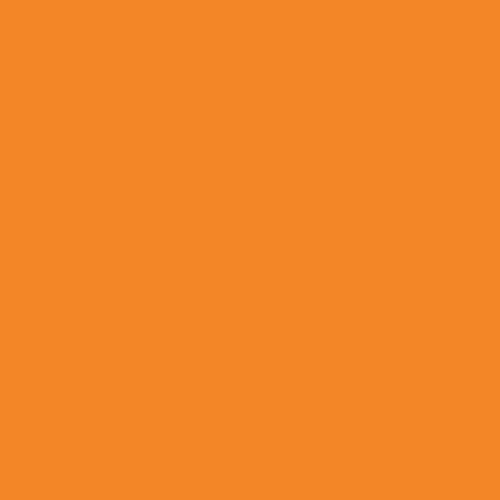 Disc Kohinoor Mondeluz Watercolor Pencil Orange