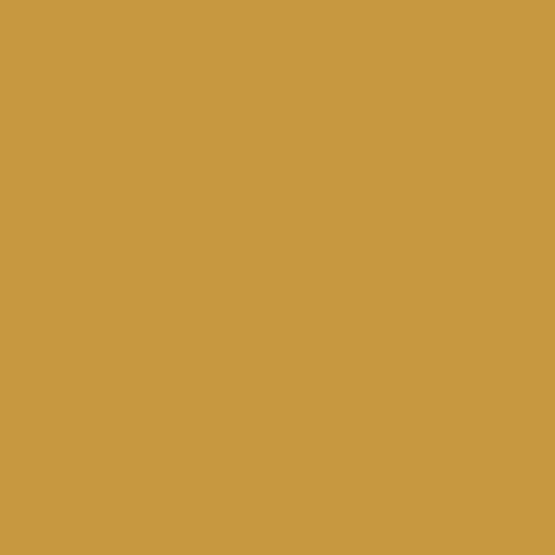 Disc Kohinoor Mondeluz Watercolor Pencil Dark Ochre